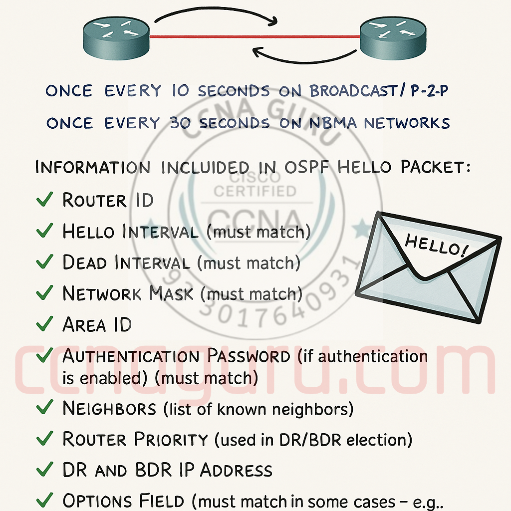 OSPF Hello Packet Structure - Network Routing Protocol Diagram